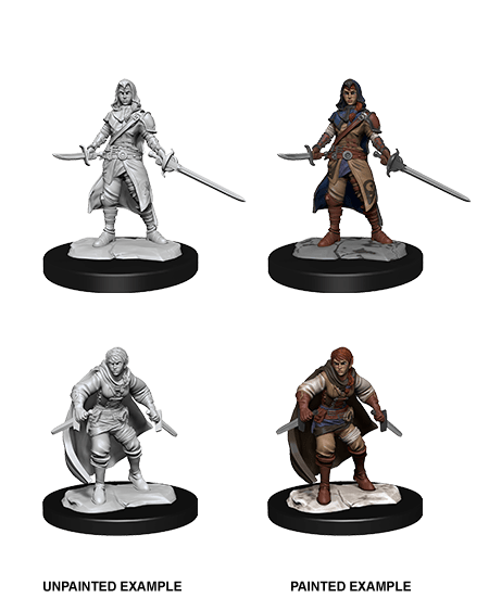 Half-Elf Rogue