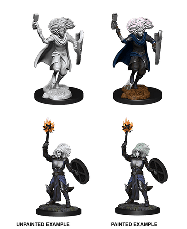 Changeling Cleric