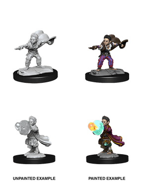 Halfling Wizard Male