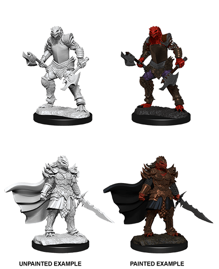 Dragonborn Fighter Female