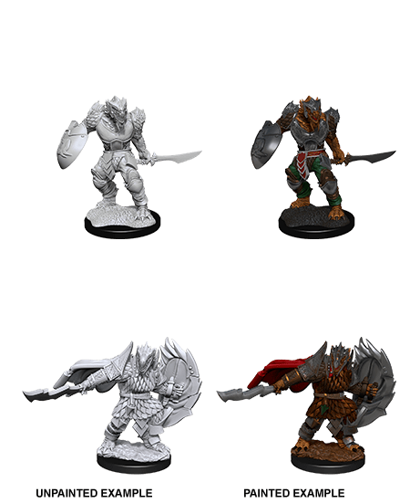 Dragonborn Fighter Male