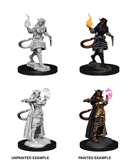 Tiefling Sorcerer Female