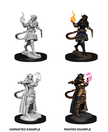 Tiefling Sorcerer Female