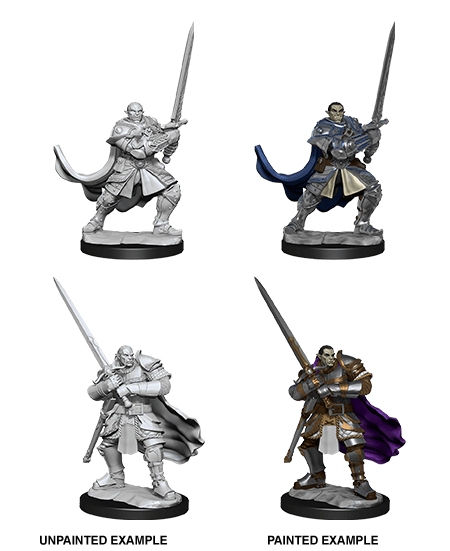 Half-Orc Paladin Male