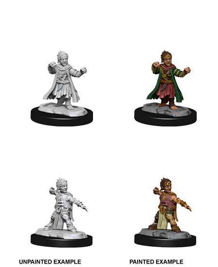 Halfing Monk Male