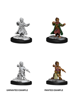 Halfing Monk Male