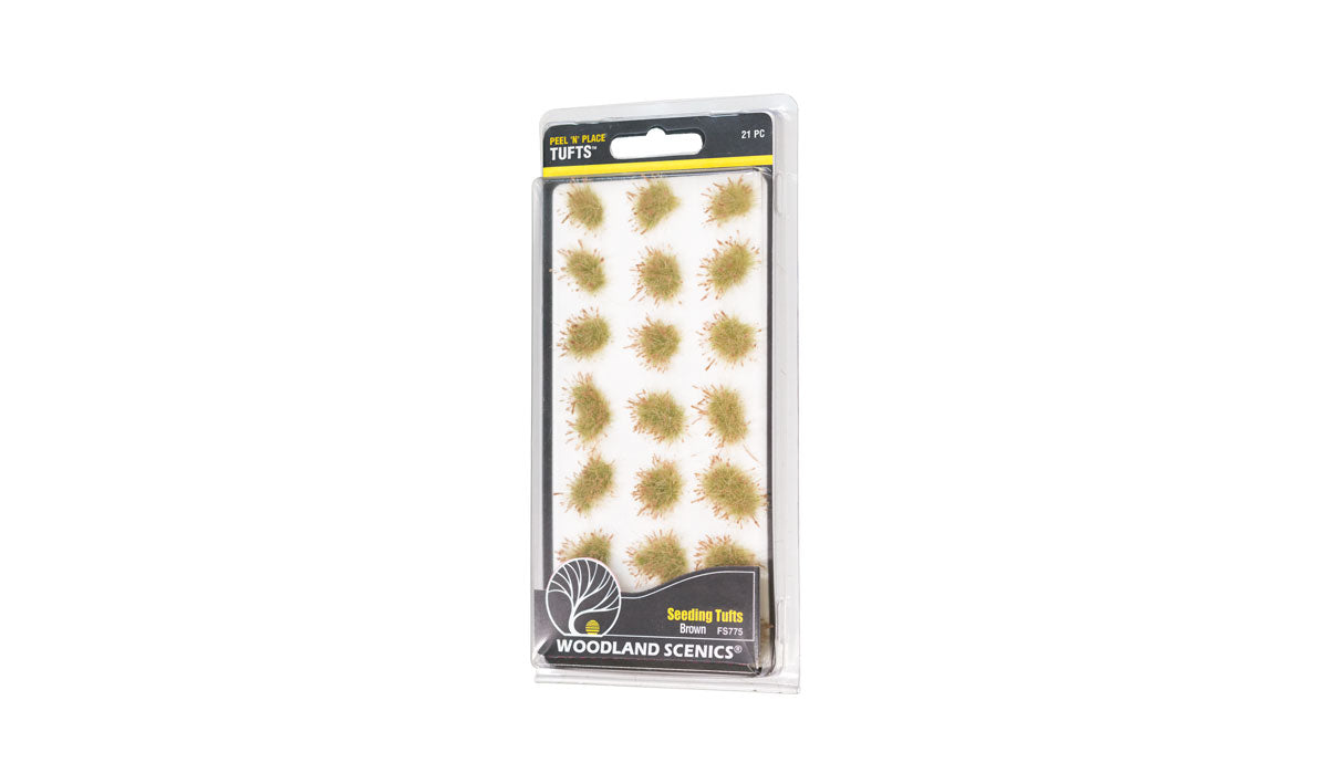 Seeding Tufts Brown