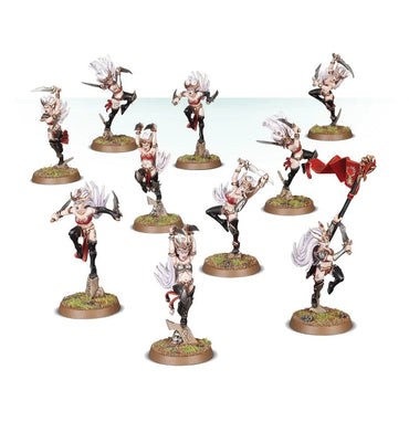 Witch Aelves/ Sisters of Slaughter