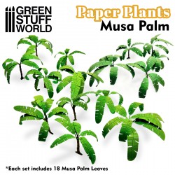 Paper Plants Musa Palm