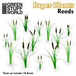 Paper Plants Reeds