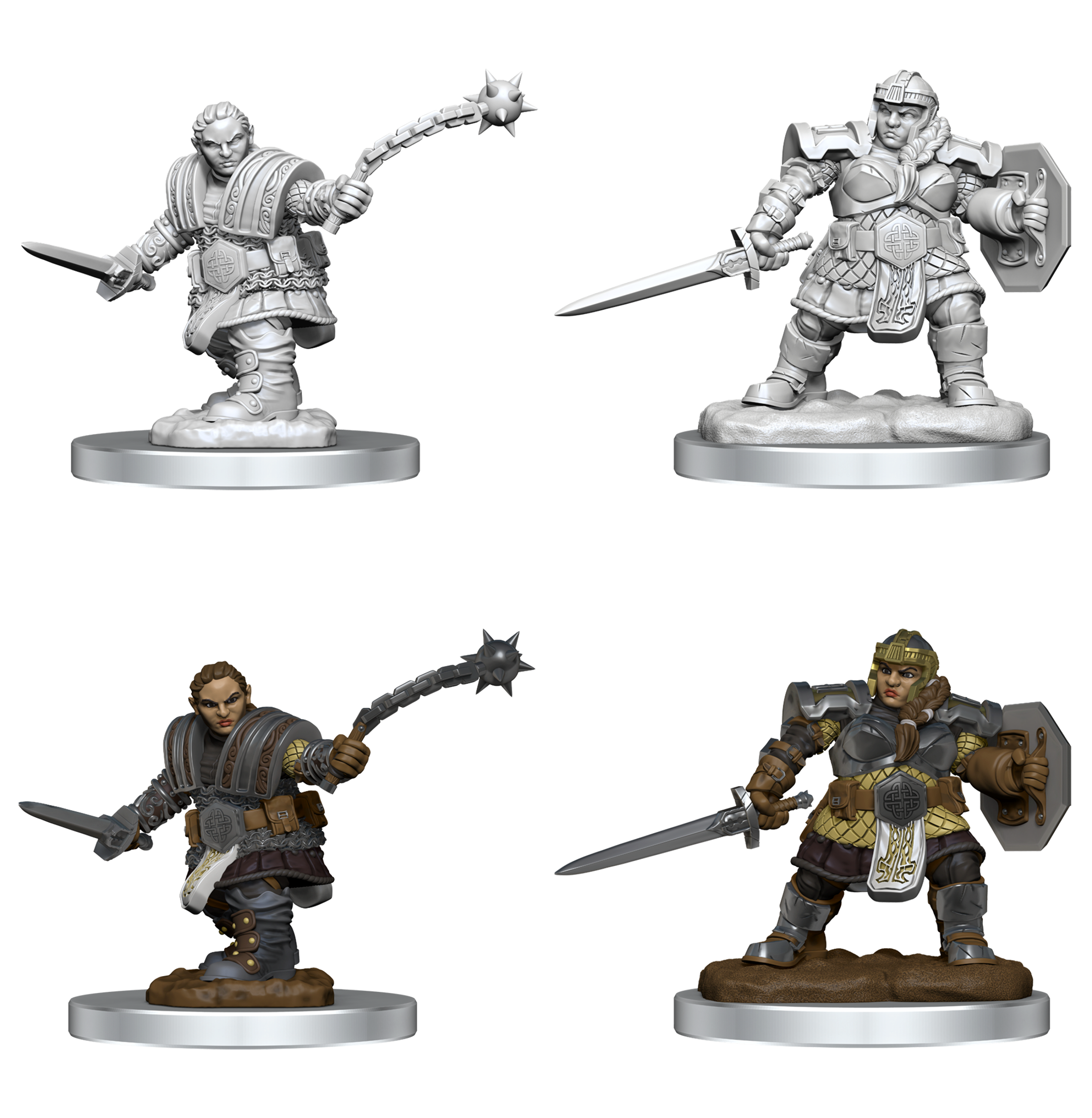 Dwarf Fighter Female