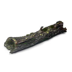 Large Fallen Trunk