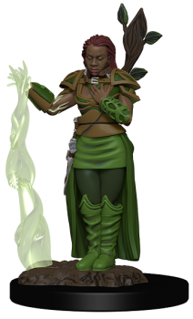 D&D Premium Figures: Human Female Druid
