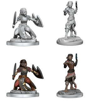 Shifter Fighter