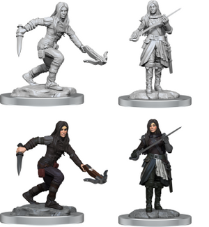Half-Elf Rogue Female