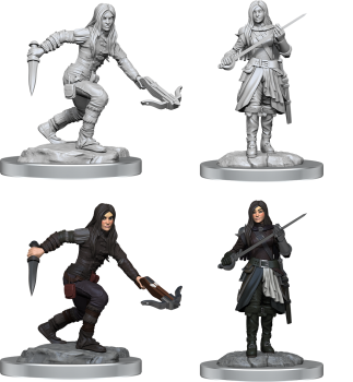 Half-Elf Rogue Female