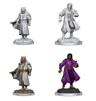 Critical Role: Male Sorcerer Merchant & Tiger Demon