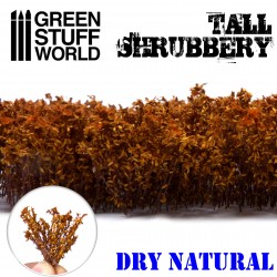 Tall Shrubs Dry Natural