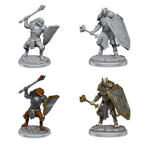 Dragonborn Clerics