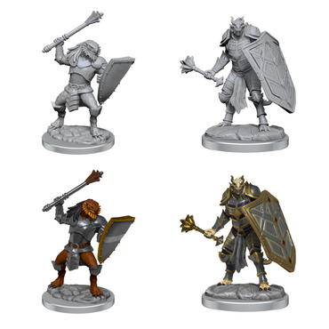 Dragonborn Clerics